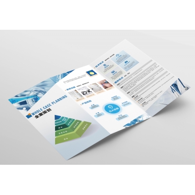 宣傳單頁設(shè)計(jì)案例賞析